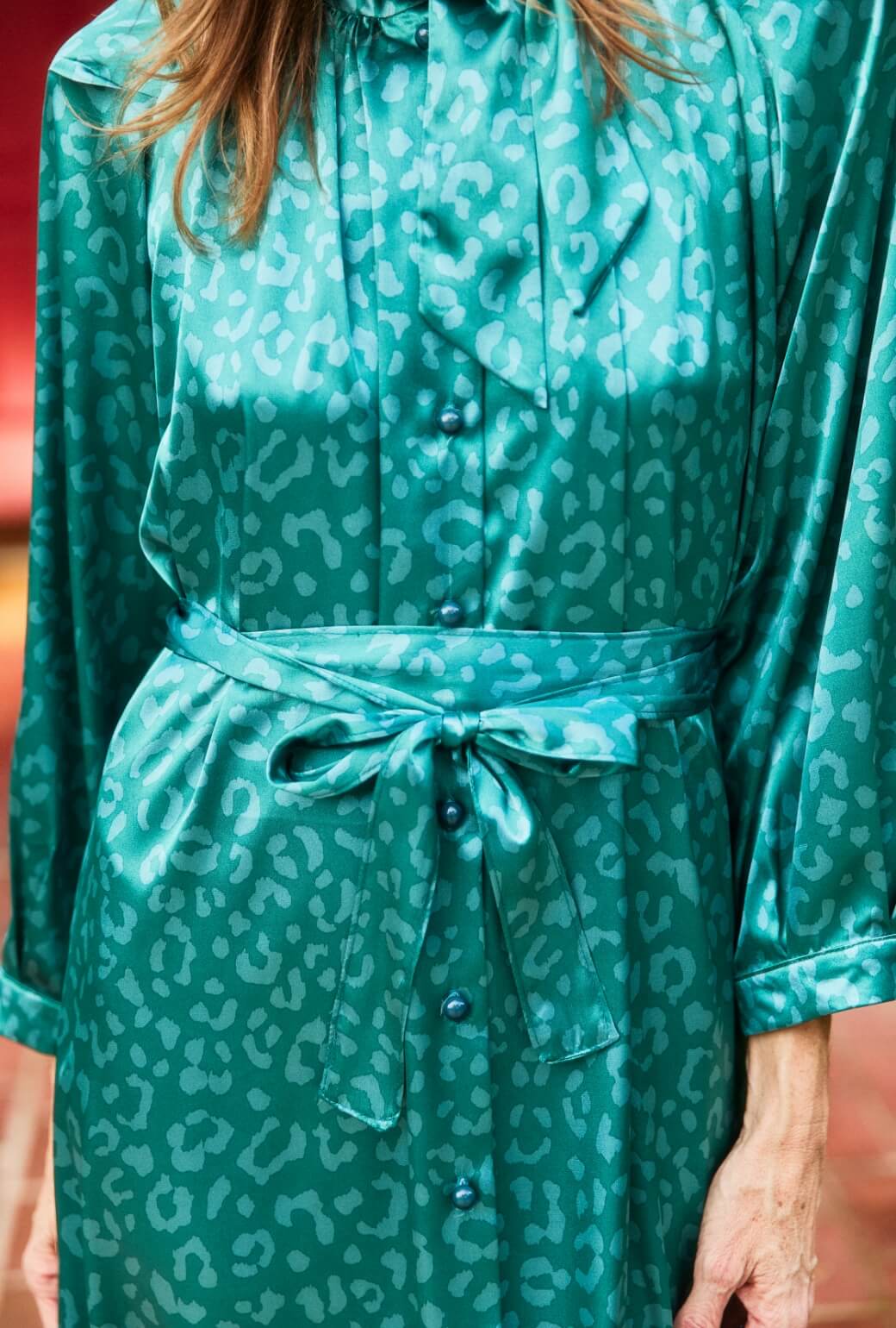Bow Housecoat - Aqua Cheetah - Image 4